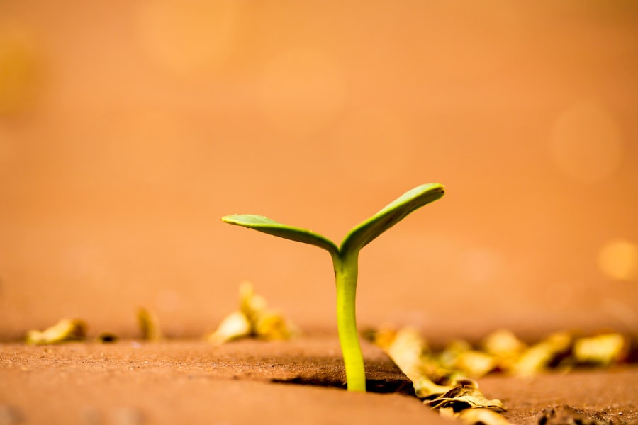 Personal Growth Pathways