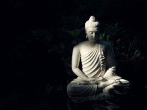 Photo Mindfulness Matters