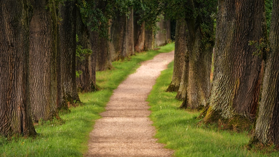 Photo Personal Growth Pathways