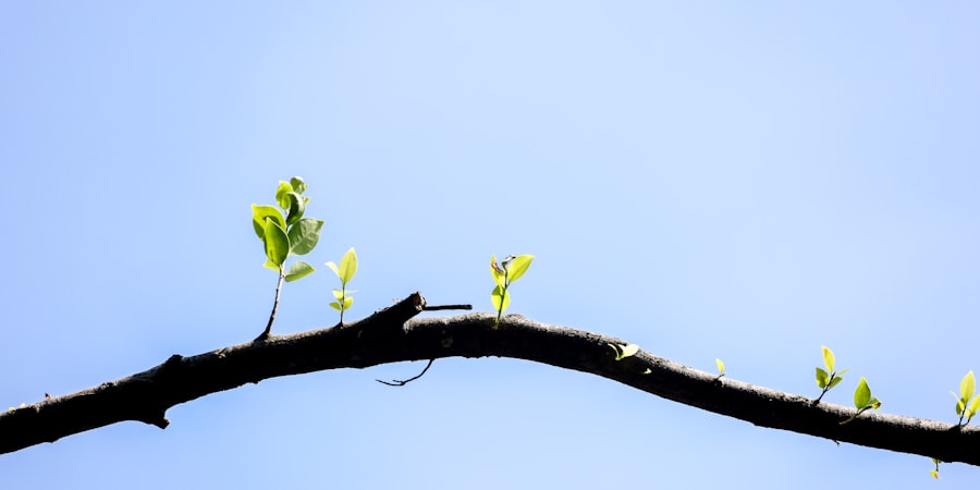 Personal Growth Pathways