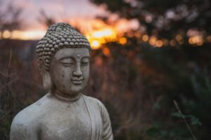 Photo Mindfulness Matters