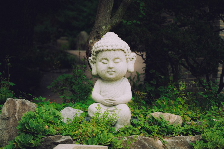 Photo Mindfulness Practices