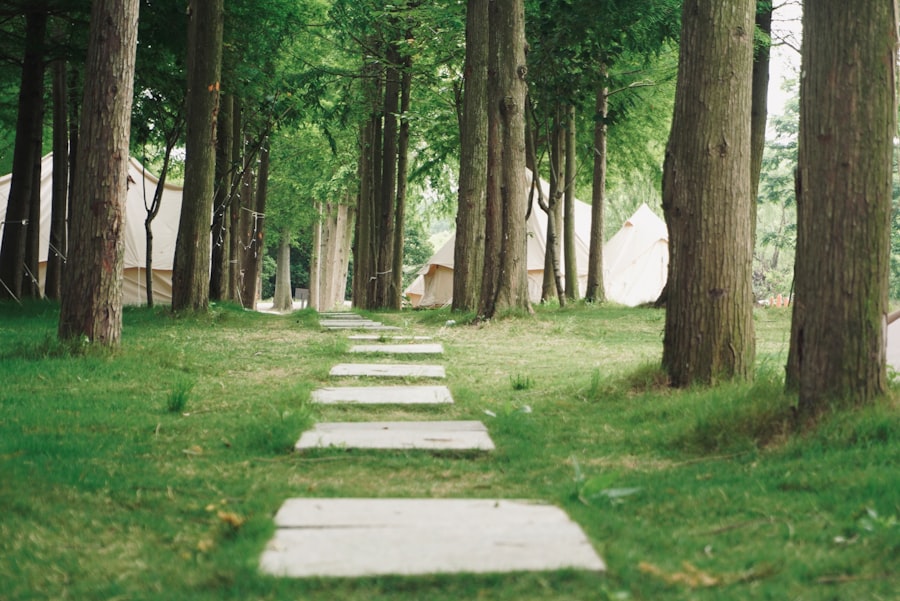 Photo Personal Growth Pathways