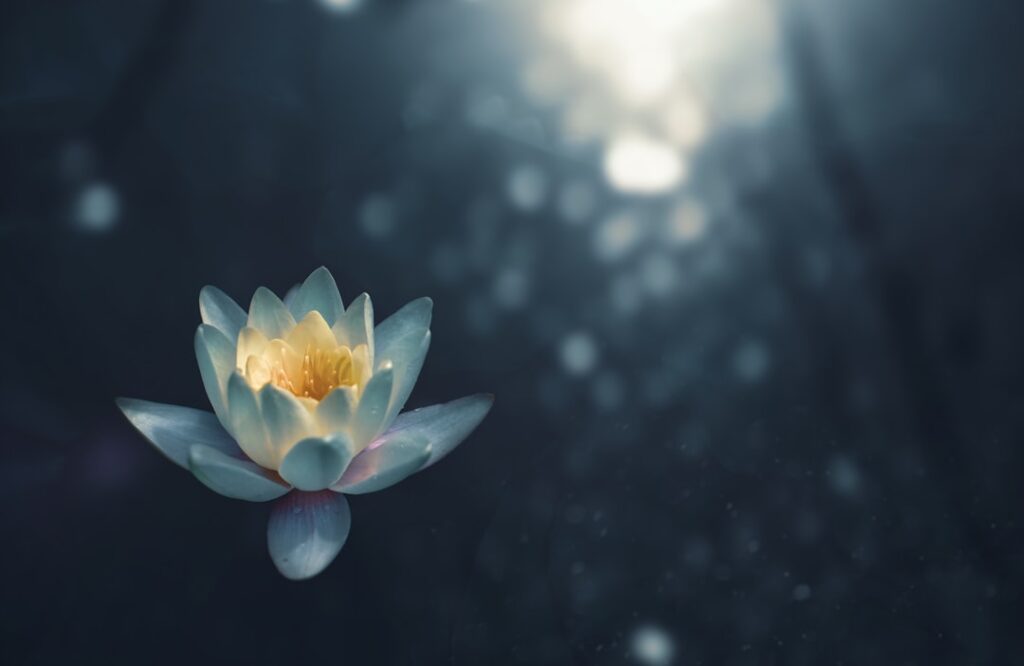 Mindfulness Matters: How to Practice Presence in a Digital World