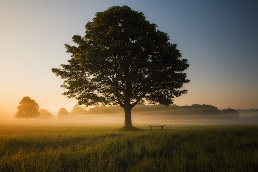 Mindfulness