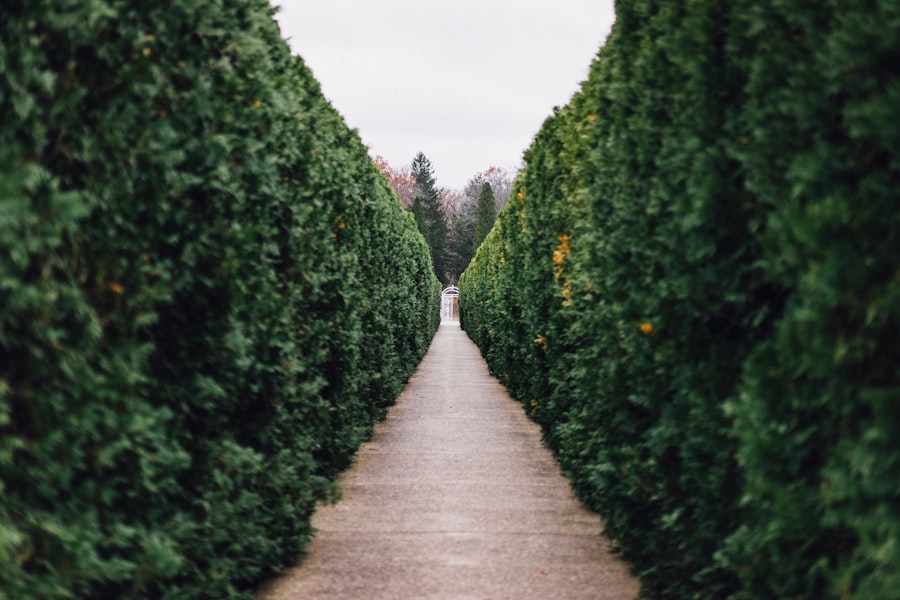 Personal Growth Pathways
