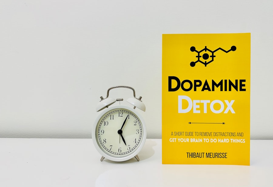 Photo Digital Detox Strategies