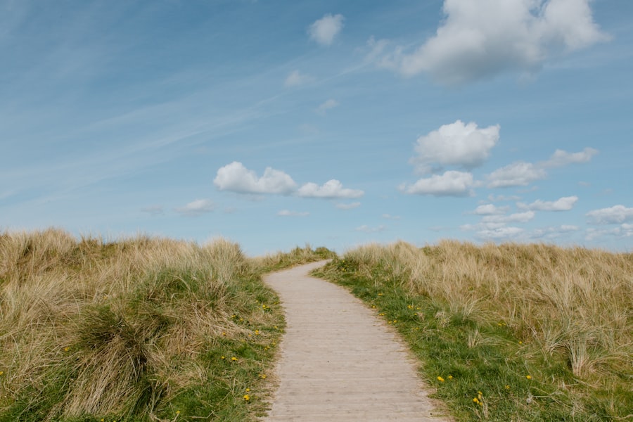 Photo Personal Growth Pathways