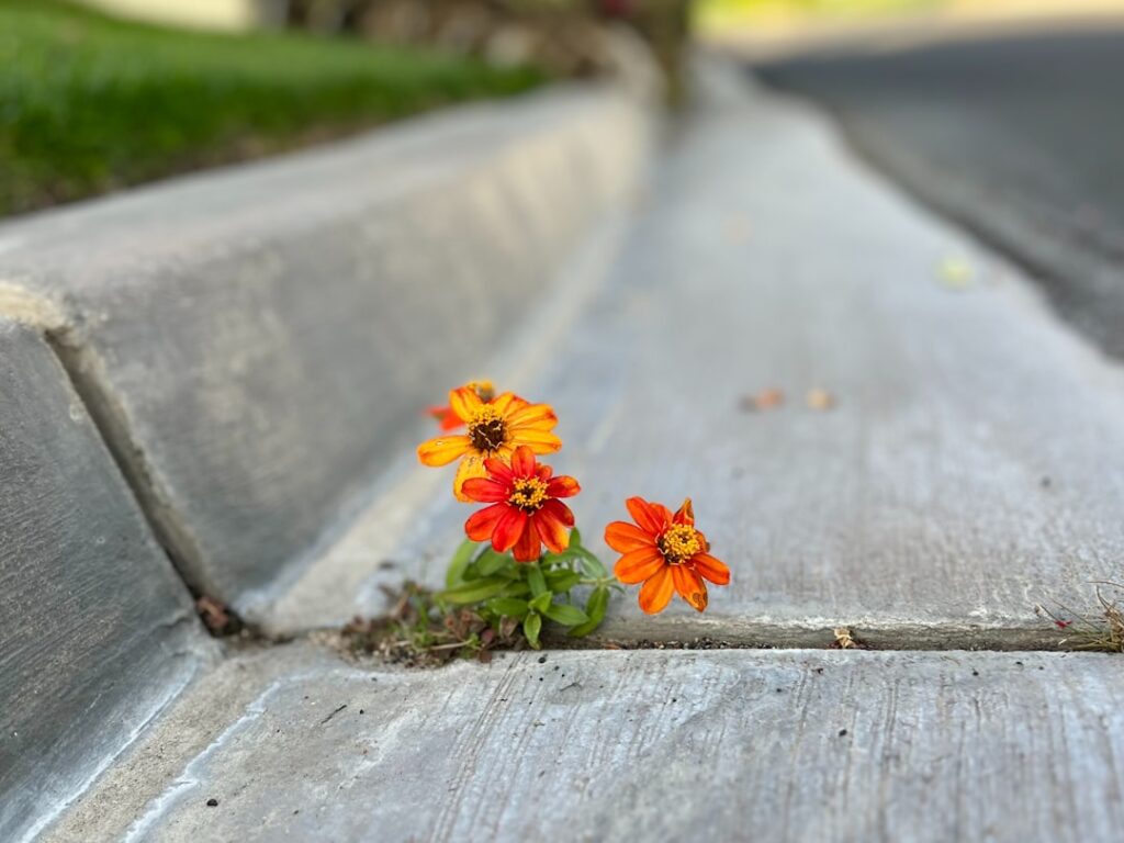 Personal Growth Pathways: Building Resilience in Times of Change