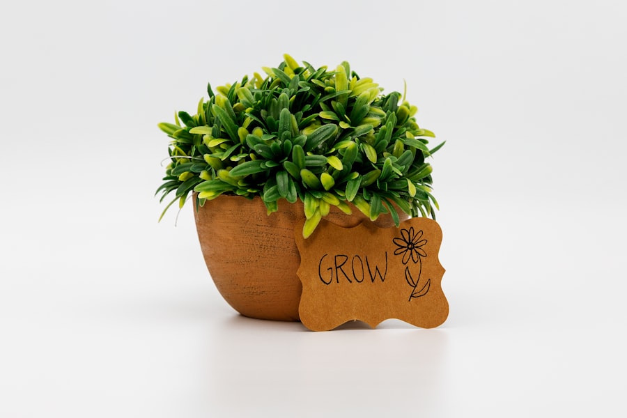 Photo Growth Mindset