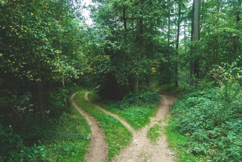Personal Growth Pathways: Setting Intentional Goals for the New Year