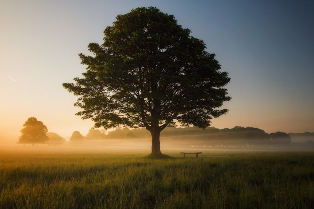 Mindfulness Matters: Cultivating Presence During Everyday Chores