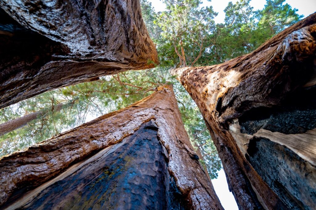 Personal Growth Pathways: Building Resilience Through Failure