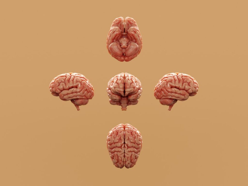 Emotional Intelligence Essentials: Cultivating Empathy in Virtual Workspaces