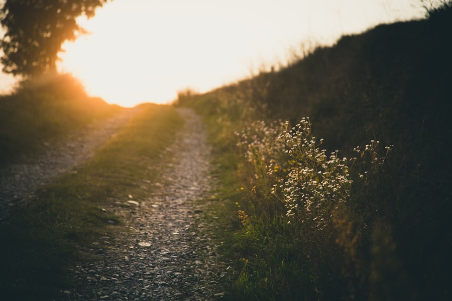 Photo Personal Growth Pathways