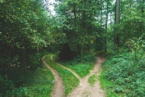 Photo Personal Growth Pathways
