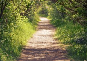 Photo Personal Growth Pathways