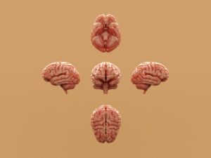 Photo Emotional Intelligence Essentials